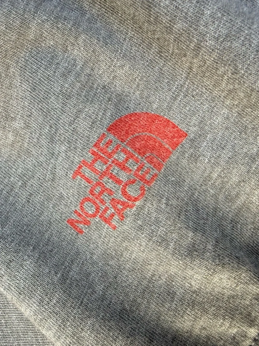 The North Face Gray Long-Sleeve Crewneck Shirt with‎ Red Graphic